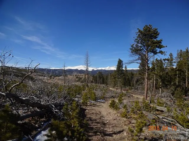 2315 Ridge Road Nederland, CO 80466
