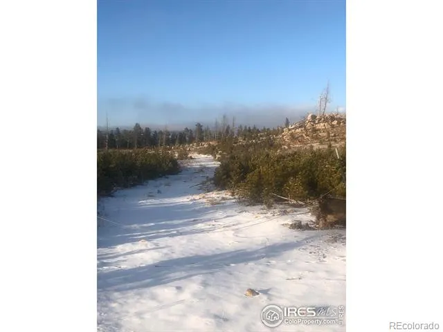 2315 Ridge Road Nederland, CO 80466