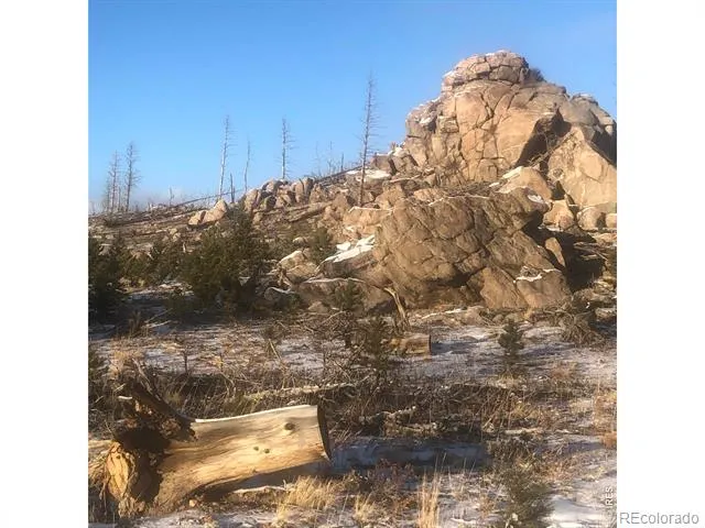 2315 Ridge Road Nederland, CO 80466