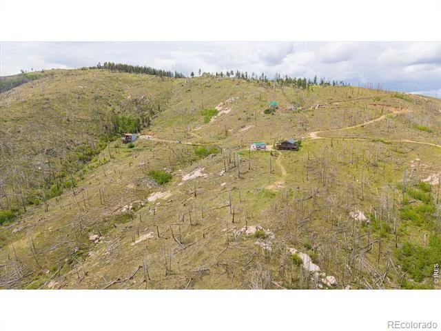 1291 Little Whale Road Bellvue, CO 80512