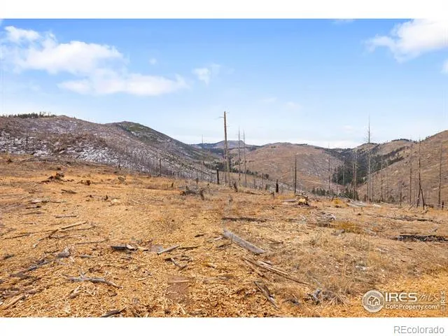 685 La Escena Drive Bellvue, CO 80512