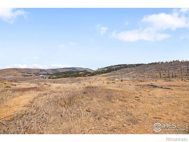 685 La Escena Drive Bellvue, CO 80512