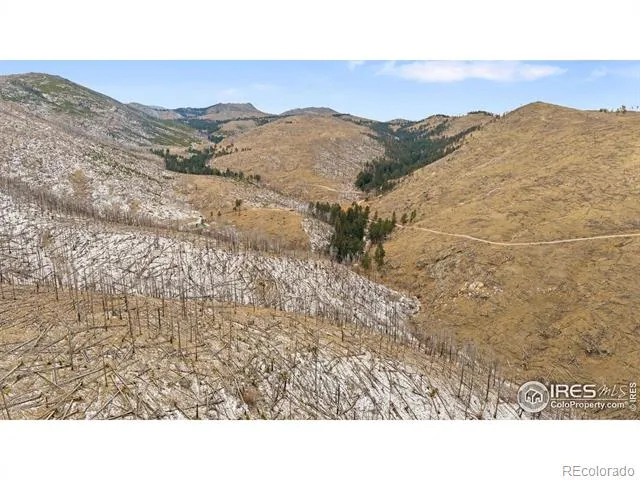 685 La Escena Drive Bellvue, CO 80512