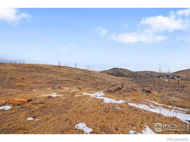 685 La Escena Drive Bellvue, CO 80512