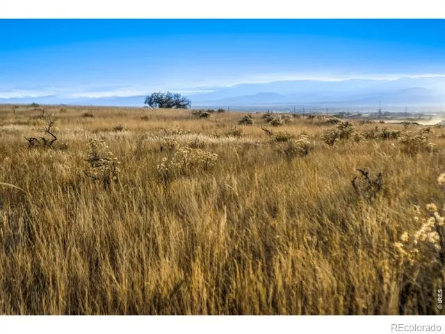7923 County Road 84 Fort Collins, CO 80524