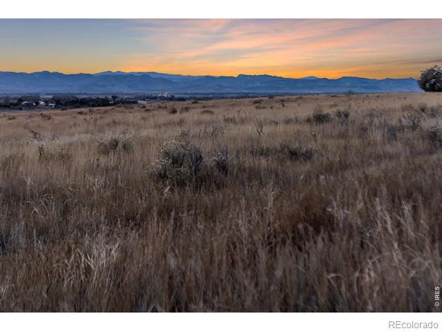 7923 County Road 84 Fort Collins, CO 80524