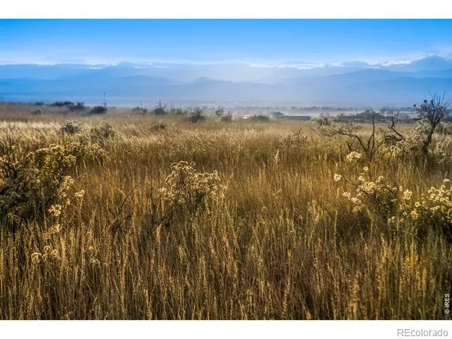7929 County Road 84 Fort Collins, CO 80524