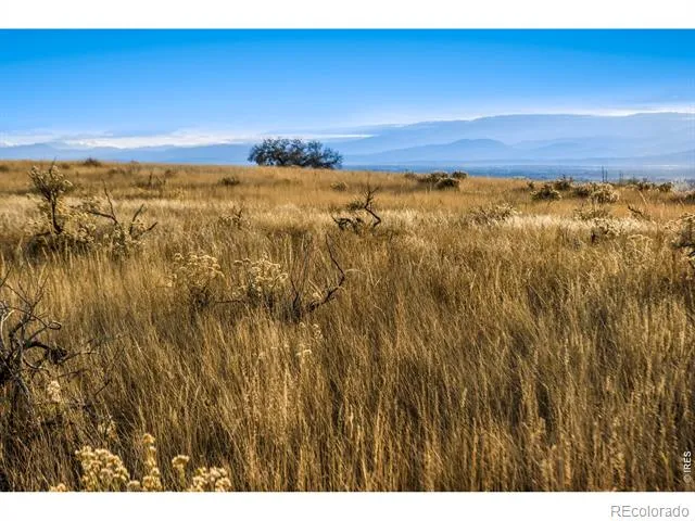 7929 County Road 84 Fort Collins, CO 80524