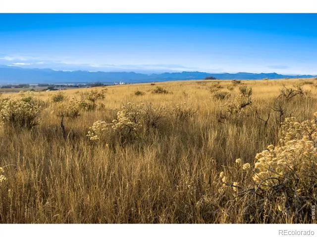 7929 County Road 84 Fort Collins, CO 80524