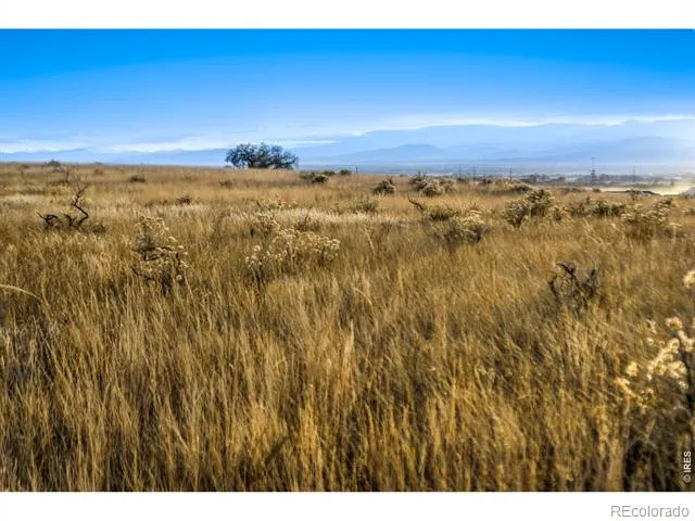 7929 County Road 84 Fort Collins, CO 80524