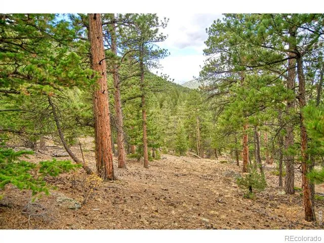 0 Windham Drive Estes Park, CO 80517