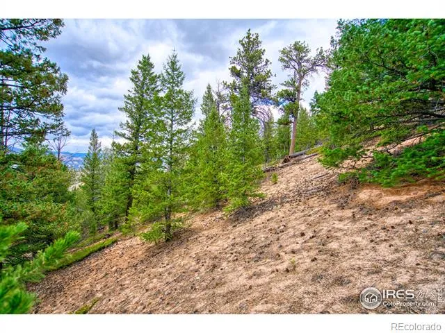 0 Windham Drive Estes Park, CO 80517