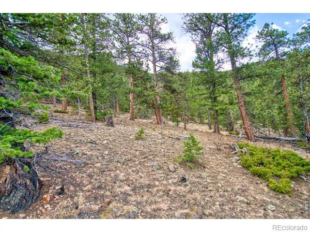 0 Windham Drive Estes Park, CO 80517
