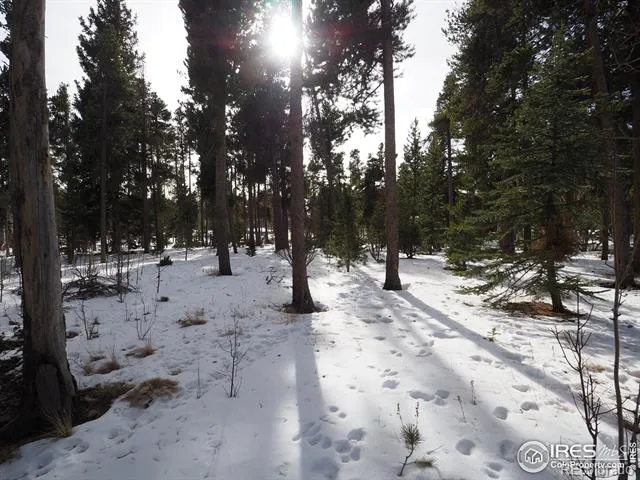 0 Long Trail Road Black Hawk, CO 80422