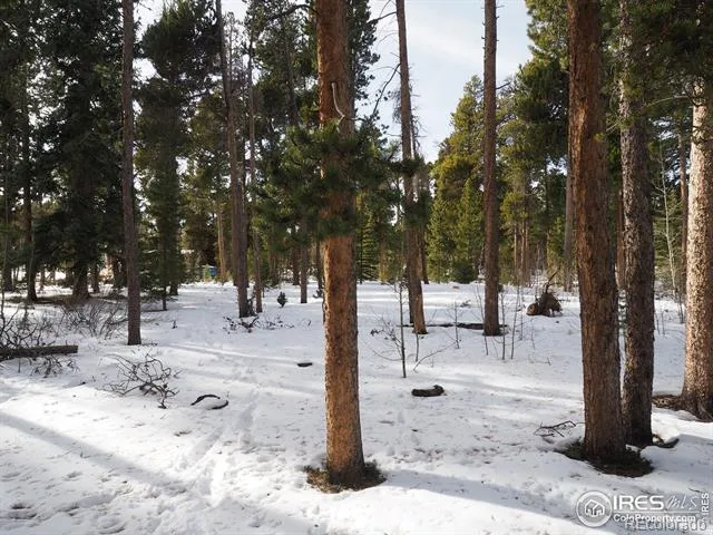 0 Long Trail Road Black Hawk, CO 80422