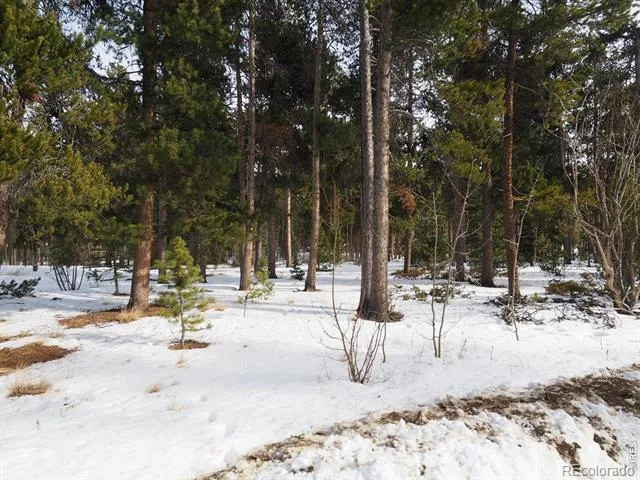 0 Long Trail Road Black Hawk, CO 80422