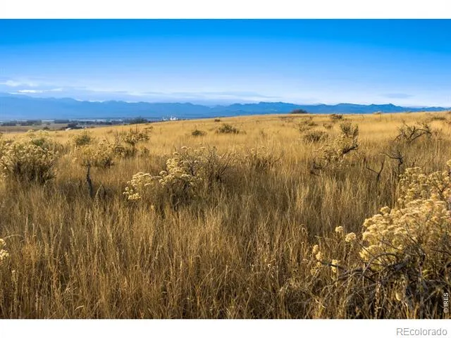 7913 County Road 84 Fort Collins, CO 80524