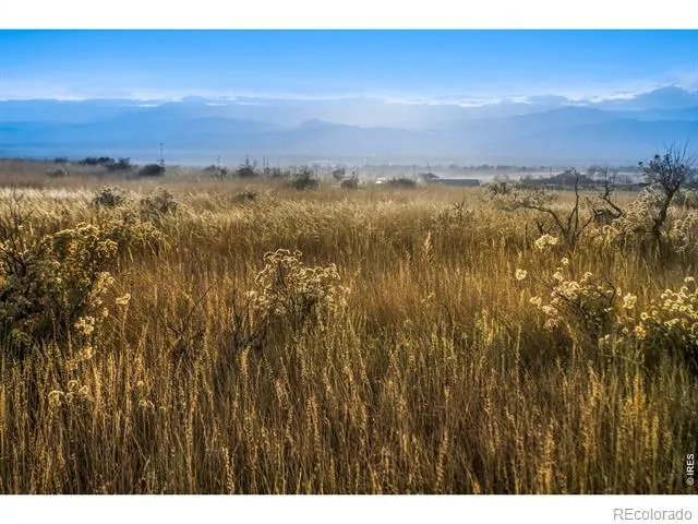 7913 County Road 84 Fort Collins, CO 80524