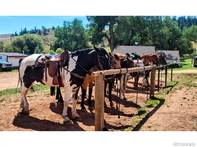 609 Eiger Road Livermore, CO 80536