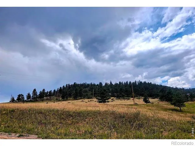 609 Eiger Road Livermore, CO 80536