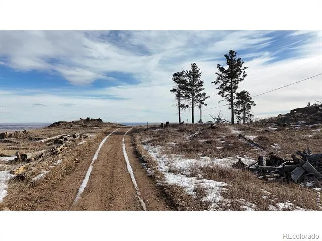 813 Hernia Hill Trail Bellvue, CO 80512