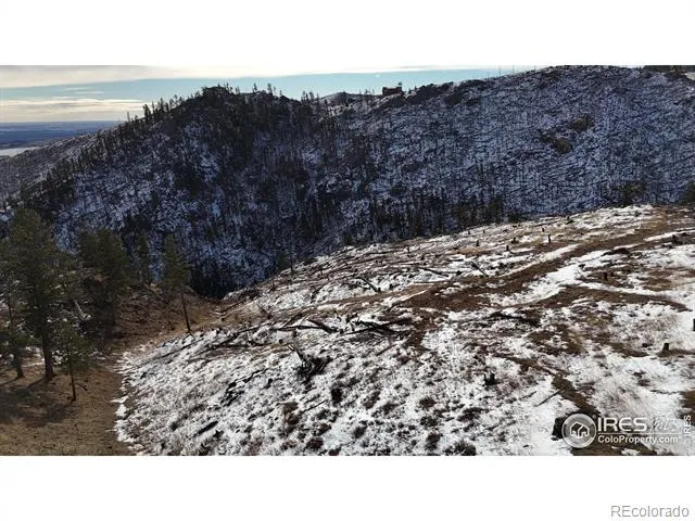 813 Hernia Hill Trail Bellvue, CO 80512