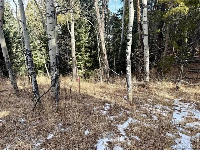 0 Snowy Trail Conifer, CO 80433