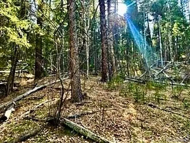 0 Snowy Trail Conifer, CO 80433