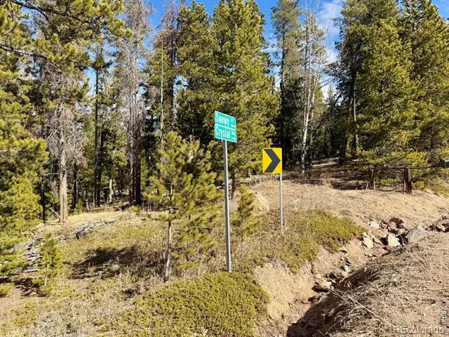 0 Snowy Trail Conifer, CO 80433