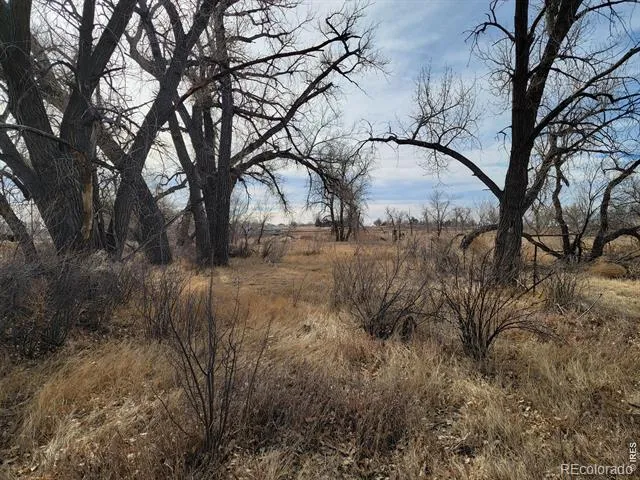 0 TBD Brush, CO 80723