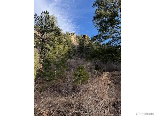 0 Longmont Dam Road #1 Lyons, CO 80540
