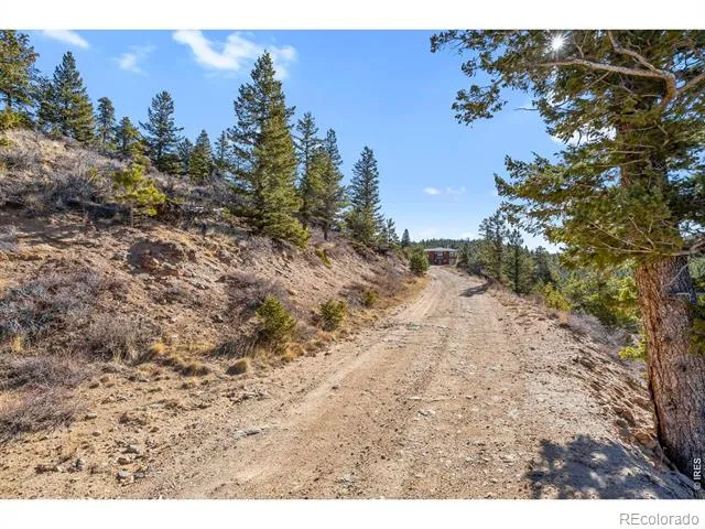 58 Doe Trail Nederland, CO 80466
