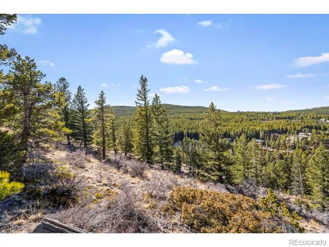 58 Doe Trail Nederland, CO 80466