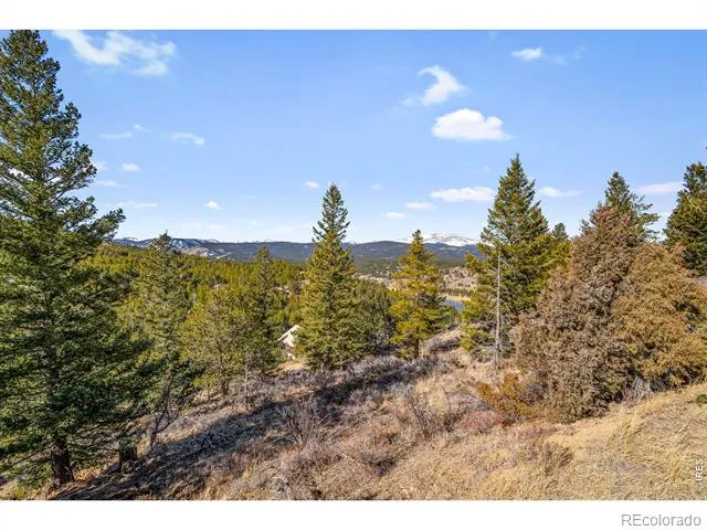 58 Doe Trail Nederland, CO 80466