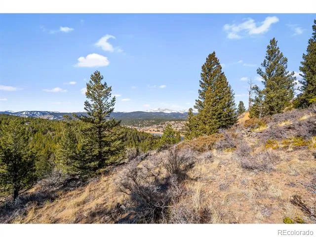58 Doe Trail Nederland, CO 80466
