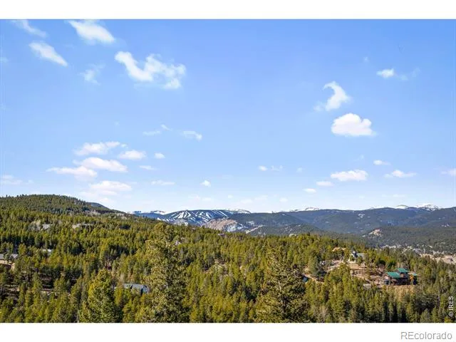 58 Doe Trail Nederland, CO 80466