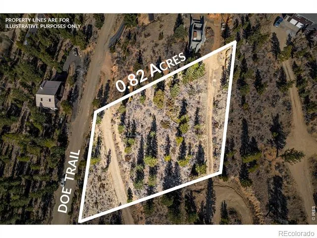 58 Doe Trail Nederland, CO 80466