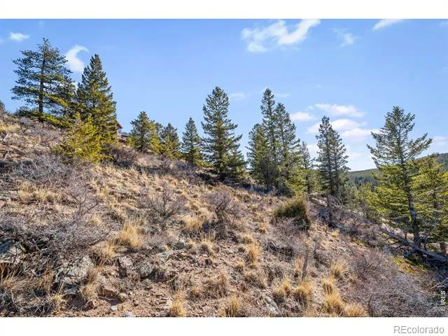 58 Doe Trail Nederland, CO 80466