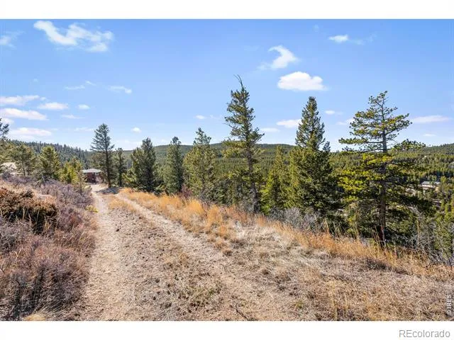 58 Doe Trail Nederland, CO 80466