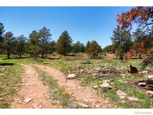 101 Lewis Lane Lyons, CO 80540
