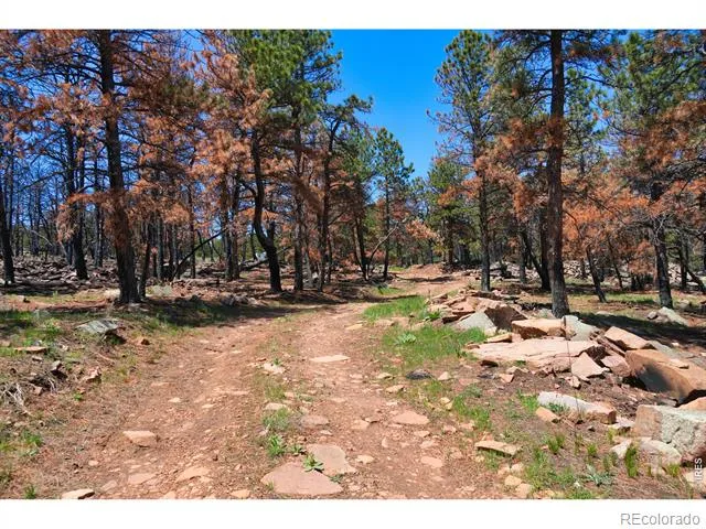 101 Lewis Lane Lyons, CO 80540