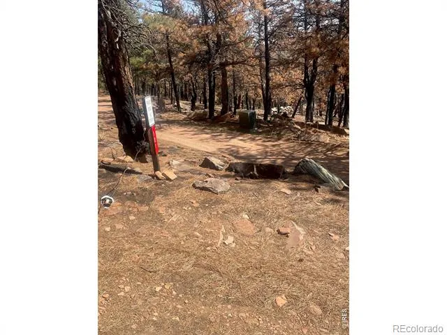 101 Lewis Lane Lyons, CO 80540