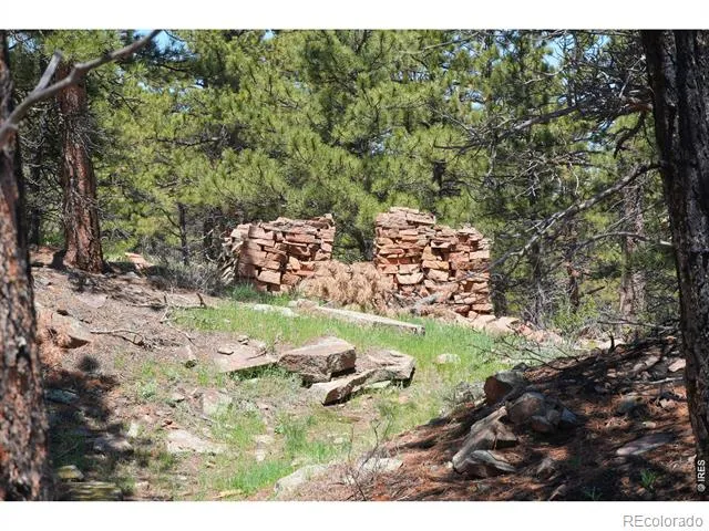 101 Lewis Lane Lyons, CO 80540