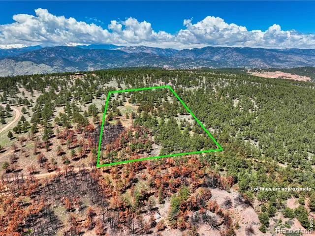 101 Lewis Lane Lyons, CO 80540