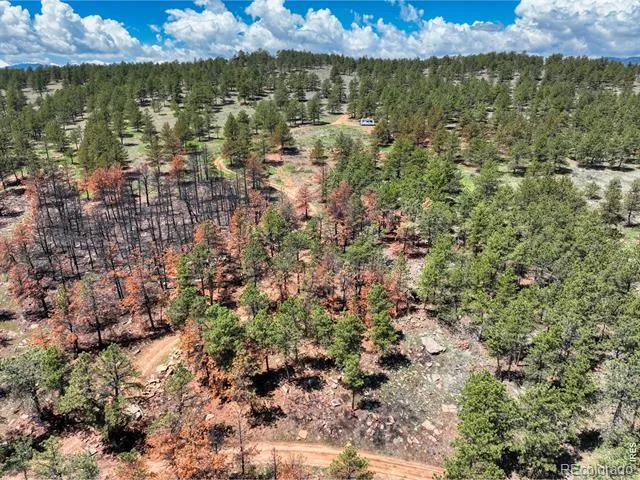 101 Lewis Lane Lyons, CO 80540