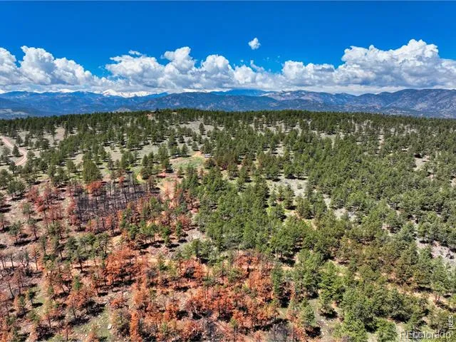 101 Lewis Lane Lyons, CO 80540