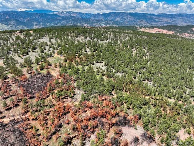 101 Lewis Lane Lyons, CO 80540