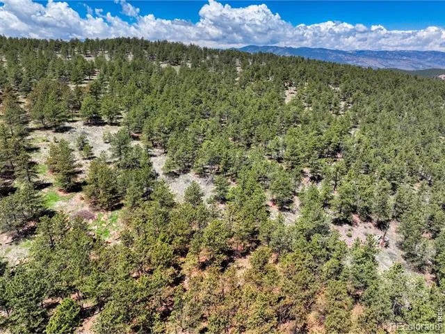 101 Lewis Lane Lyons, CO 80540