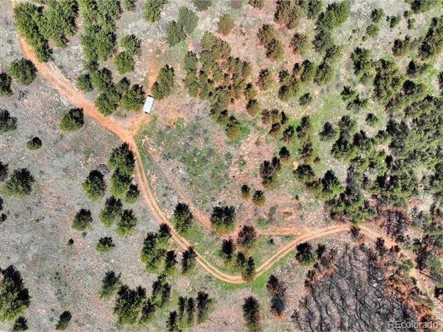 101 Lewis Lane Lyons, CO 80540