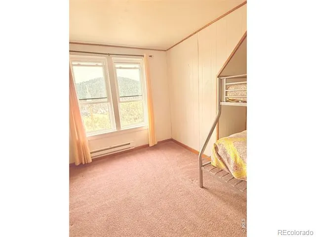 430 S 4th Street S Victor, CO 80860